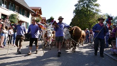 2016-09 Simonswald Almabtrieb (33)
